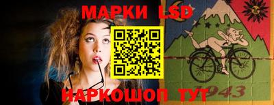 крисы Аргун