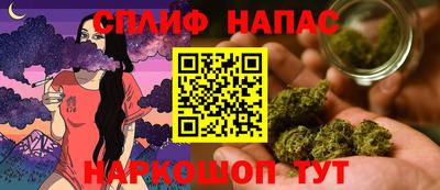 крисы Аргун