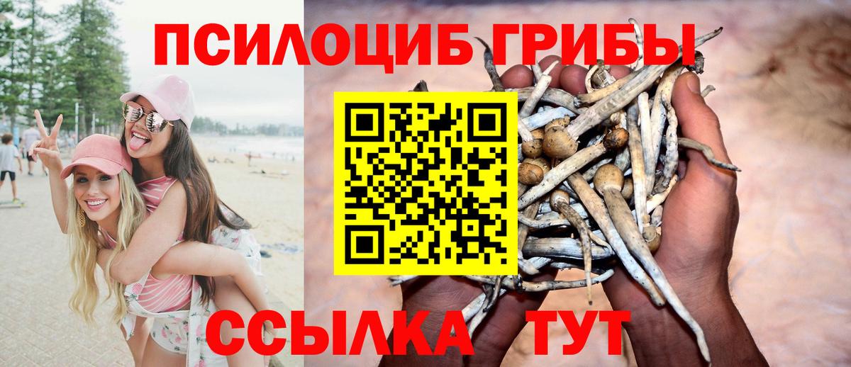 Галлюциногенные грибы Psilocybe  Вход с VPN  Батайск 